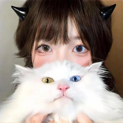 双生灵探